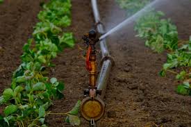 Irrigation
