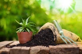 Organic Fertilizer